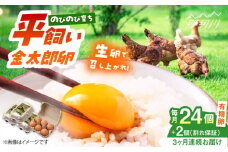 【3回定期便】【TVで紹介！】【鮮度ＡＡ級の世界最高ランク！】金太郎卵 平飼い たまご 24個（6個×4パック）＜有限会社フジノ香花園＞那珂川市 卵 定期便 たまご 平飼い 新鮮 平飼い卵 国産 玉子 鶏卵 [GAM033]