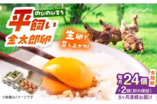 【6回定期便】【TVで紹介！】【鮮度ＡＡ級の世界最高ランク！】金太郎卵 平飼い たまご 24個（6個×4パック）＜有限会社フジノ香花園＞那珂川市 卵 定期便 たまご 平飼い 新鮮 平飼い卵 国産 玉子 鶏卵 [GAM034]