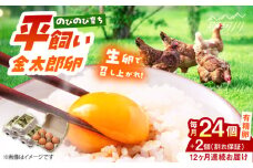 【12回定期便】【TVで紹介！】【鮮度ＡＡ級の世界最高ランク！】金太郎卵 平飼い たまご 24個（6個×4パック）＜有限会社フジノ香花園＞那珂川市 卵 定期便 たまご 平飼い 新鮮 平飼い卵 国産 玉子 鶏卵 [GAM035]
