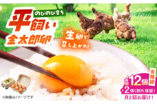 ＼月2回発送／【TVで紹介！】【鮮度ＡＡ級の世界最高ランク！】金太郎卵 平飼い たまご 計24個(12個×月2回)＜有限会社フジノ香花園＞那珂川市 卵 たまご 平飼い 新鮮 平飼い卵 国産 玉子 鶏卵 [GAM036]