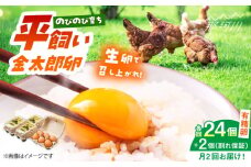 ＼月2回発送／【TVで紹介！】【鮮度ＡＡ級の世界最高ランク！】金太郎卵 平飼い たまご 計48個(24個×月2回)＜有限会社フジノ香花園＞那珂川市 卵 たまご 平飼い 新鮮 平飼い卵 国産 玉子 鶏卵 [GAM038]