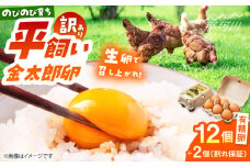 ＼訳あり／【TVで紹介！】【鮮度ＡＡ級の世界最高ランク！】金太郎卵 平飼い たまご 12個（6個×2パック）＜有限会社フジノ香花園＞那珂川市 訳アリ 理由あり わけあり 卵 たまご 平飼い 新鮮 平飼い卵 国産  生卵 平飼い卵 鶏卵 [GAM039]