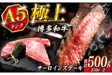 極上 博多和牛 A5ランク サーロイン ステーキ 250g × 2枚  ＜KRAZY MEAT＞ 那珂川市 [GFQ013]