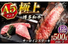 【全12回定期便】極上 博多和牛 A5ランク サーロイン ステーキ 250g×2枚  ＜KRAZY MEAT＞ 那珂川市 [GFQ016]
