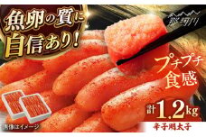 昔ながらの明太子 600g×2箱那珂川市/株式会社 海千 [GGA009]