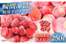 福岡県産 冷凍あまおう250g(250g×1個) ＜木村食品＞ 那珂川市 [GFR033]
