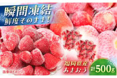福岡県産 冷凍あまおう500g(250g×2個) ＜木村食品＞ 那珂川市 [GFR034]