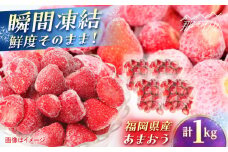 福岡県産 冷凍あまおう1ｋg(250g×4個) ＜木村食品＞ 那珂川市 [GFR035]