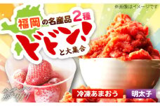 辛子明太子無着色(切子)500gと福岡県産冷凍あまおう500g(250g×2)訳あり ＜木村食品＞ 那珂川市 [GFR039]