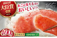 【まるきた水産】博多あごおとし　大きな切れ子(400g) ＜一般社団法人地域商社ふるさぽ＞ 那珂川市 [GBX203]