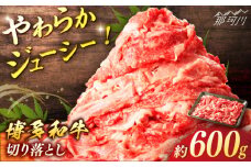 博多和牛　切り落とし　約600g＜一般社団法人地域商社ふるさぽ＞ 那珂川市 [GBX065]
