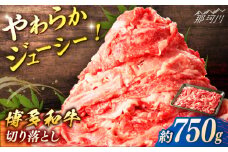 博多和牛　切り落とし　約750g＜一般社団法人地域商社ふるさぽ＞ 那珂川市 [GBX066]