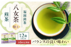 【全6回定期便】八女茶【特上】煎茶セット　100g×2袋 ＜木村食品＞ 那珂川市 [GFW072]
