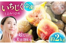 冷凍いちじく（とよみつひめ）約２kg＜一般社団法人地域商社ふるさぽ＞ 那珂川市 [GBX253]