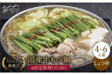 【全6回定期便】ミシュラン掲載！国産牛 もつ鍋 醤油味 ギフトセット（4～6人前）＜博多もつ鍋星まつり＞那珂川市 もつ鍋 もつなべ ホルモン もつ鍋セット 博多もつ鍋 モツ 醤油 冷凍 [GAA012]