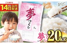 【令和7年度産 新米！】福岡県産米 夢つくし 20kg(5kgx4袋)  精米＜有限会社ファインリョーコク＞那珂川市 [GGI007]
