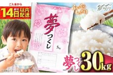 【令和7年度産 新米！】福岡県産米 夢つくし30kg(5kgx6袋) 精米＜有限会社ファインリョーコク＞那珂川市 [GGI010]