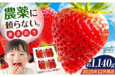 【2025年12月より発送】『自然環境農法』で育てた福岡県産 あまおう 約285g×4パック＜おおきべりー株式会社＞那珂川市 [GZE008]