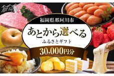【あとから選べる】福岡県那珂川市 あとからセレクト！ふるさとギフト 3万円分 30000円 [GZZ030]
