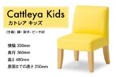 椅子 おしゃれ カトレア キッズ 1脚 [アダル 福岡県 宇美町 um40azo830000] いす イス オシャレ Cattleya 子供用 インテリア 家具