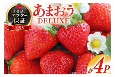 【期間限定発送】 いちご あまおう デラックス 4p [THE FARM_strawberry 福岡県 宇美町 um40azo780001] 先行予約 イチゴ 苺 フルーツ 果物 果実 甘い あまい 小分け 4パック