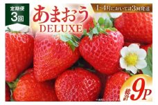 【期間限定発送】 いちご 定期便 あまおう デラックス 3p 3回 総計9p [THE FARM_strawberry 福岡県 宇美町 um40azo780004] イチゴ 苺 フルーツ 果実 甘い 小分け