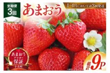 【期間限定発送】 いちご 定期便 あまおう 3p 3回 総計9p [THE FARM_strawberry 福岡県 宇美町 um40azo780004] イチゴ 苺 フルーツ 果実 甘い 小分け
