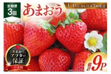 【期間限定発送】 いちご 定期便 あまおう 3パック 3回 総計9パック [THE FARM_strawberry 福岡県 宇美町 um40azo780004]  先行予約 イチゴ 苺 フルーツ 果物 果実 甘い 小分け 定期 あまい