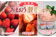 【期間限定発送】 いちご 定期便 贅沢セット フレッシュあまおう & 冷凍あまおう & ジェラート 2種 [THE FARM_strawberry 福岡県 宇美町 um40azo780005] アイス イチゴ 苺 フルーツ 果実 甘い 小分け