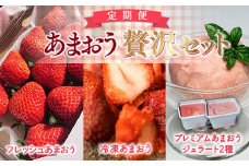 【期間限定発送】 いちご 定期便 贅沢セット フレッシュあまおう & 冷凍あまおう & ジェラート 2種 [THE FARM_strawberry 福岡県 宇美町 um40azo780005] アイス 先行予約 イチゴ 苺 フルーツ 果物 果実 甘い 小分け 定期 あまい
