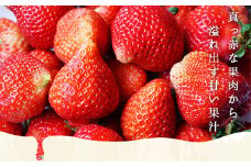 【期間限定発送】 いちご あまおう ボリューム セット 6p [THE FARM_strawberry 福岡県 宇美町 um40azo780006] 先行予約 イチゴ 苺 フルーツ 果物 果実 甘い あまい 小分け 6パック