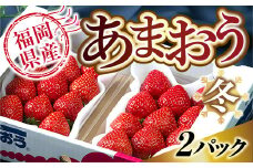 【期間限定発送】 いちご あまおう 福岡産あまおう 冬 2パック [南国フルーツ 福岡県 宇美町 um40azo970000] 先行予約 イチゴ 苺 フルーツ 果物 果実 甘い あまい 小分け