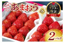 【期間限定発送】 いちご あまおう 福岡産あまおう 冬 2パック [南国フルーツ 福岡県 宇美町 um40azo970000] 先行予約 イチゴ 苺 フルーツ 果物 果実 甘い あまい 小分け