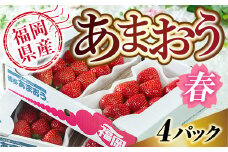 【期間限定発送】いちご あまおう 福岡産 春 4パック [南国フルーツ 福岡県 宇美町 um40azo970002] 先行予約 イチゴ 苺 フルーツ 果物 果実 甘い 小分け あまい