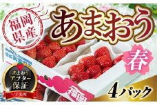 【期間限定発送】いちご あまおう 福岡産 春 4パック [南国フルーツ 福岡県 宇美町 um40azo970002] 先行予約 イチゴ 苺 フルーツ 果物 果実 甘い 小分け あまい