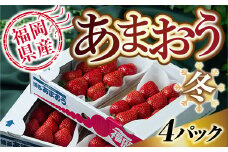 【期間限定発送】 いちご あまおう 福岡産あまおう 冬 4パック [南国フルーツ 福岡県 宇美町 um40azo970001] イチゴ 苺 フルーツ 果実 甘い 小分け