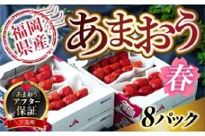 【期間限定発送】 いちご あまおう 福岡産 春 8パック [南国フルーツ 福岡県 宇美町 um40azo970004] 先行予約 イチゴ 苺 フルーツ 果物 果実 甘い 小分け あまい