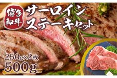 博多和牛 サーロイン ステーキ 250g 2枚 計500g  [MEAT PLUS 福岡県 宇美町 um40azp010004] 牛肉 サーロインステーキ 肉 和牛 