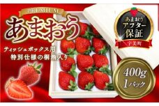 【期間限定発送】 いちご あまおう プレミアム 400g 1p ティッシュ箱型 桐箱入り [THE FARM_strawberry 福岡県 宇美町 um40azo780008] 先行予約  イチゴ 苺 フルーツ 果物 果実 甘い ティッシュケース あまい 1パック