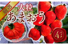 【期間限定発送】 いちご あまおう 厳選大粒 4p [THE FARM_strawberry 福岡県 宇美町 um40azo780007] イチゴ 苺 大粒 フルーツ 果実 甘い 小分け