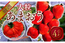 【期間限定発送】 いちご あまおう 厳選大粒 4p [THE FARM_strawberry 福岡県 宇美町 um40azo780007]  先行予約 イチゴ 苺 大粒 フルーツ 果物 果実 甘い 小分け あまい 4パック