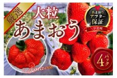 【期間限定発送】 いちご あまおう 厳選大粒 4p [THE FARM_strawberry 福岡県 宇美町 um40azo780007]  先行予約 イチゴ 苺 大粒 フルーツ 果物 果実 甘い 小分け あまい 4パック