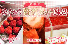 【期間限定発送】 いちご 定期便 贅沢セット No2 フレッシュあまおう & 冷凍あまおう & レアチーズケーキ 詰め合わせ [THE FARM_strawberry 福岡県 宇美町 um40azo780009] イチゴ 苺 フルーツ 果実 甘い 小分け 冷凍 ケーキ チーズケーキ