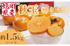 【期間限定発送】 柿 秋王 4-6玉 約 1.5kg [南国フルーツ 福岡県 宇美町 um40azo970028] 福岡県産 あきおう かき フルーツ 果物 くだもの 