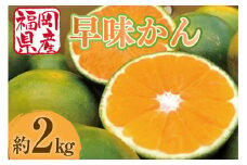 【期間限定発送】 みかん 早味かん 約 2kg [南国フルーツ 福岡県 宇美町 um40azo970030] 福岡県産 ミカン 早生みかん 早生ミカン フルーツ 果物 くだもの
