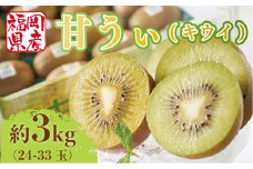 【期間限定発送】 キウイ 甘うぃ 約 3kg [南国フルーツ 福岡県 宇美町 um40azo970033] 福岡県産 キウイフルーツ フルーツ 果物 くだもの