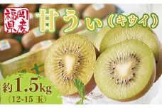 【期間限定発送】 キウイ 甘うぃ 約1.5kg [南国フルーツ 福岡県 宇美町 um40azo970032] 福岡県産 キウイフルーツ フルーツ 果物 くだもの