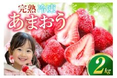 【先行受付】 いちご 冷凍 冷凍 完熟 あまおう 2kg [ストロベリーファーム 福岡県 宇美町 um40azp070000] イチゴ 苺 フルーツ 冷凍フルーツ 果実 甘い