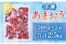 いちご 冷凍 福岡産 冷凍あまおう 500g 5p 計2.5kg [南国フルーツ 福岡県 宇美町 um40azo970006] あまおう イチゴ 苺 フルーツ 果実 甘い