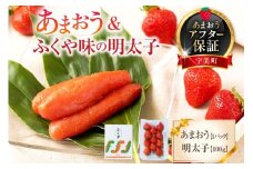【期間限定発送】 いちご 明太子 セット 福岡産あまおう 1パック ふくや 味の明太子 100g [南国フルーツ 福岡県 宇美町 um40azo970009] 詰め合わせ 先行予約 あまおう イチゴ 苺 フルーツ 果物 果実 甘い あまい ふくや 辛子明太子 めんたいこ